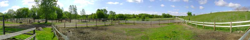 Horse Stables
